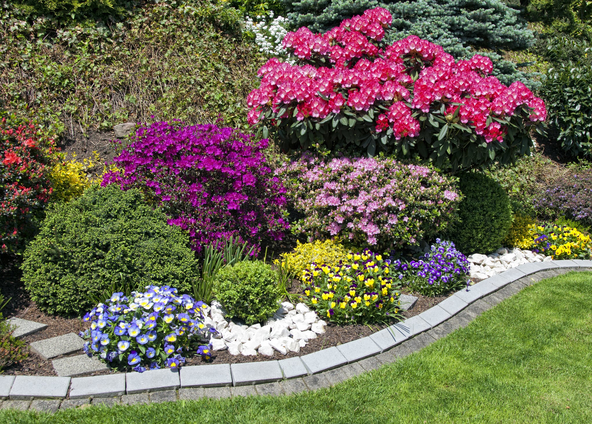 best shrubs Southern Minnesota