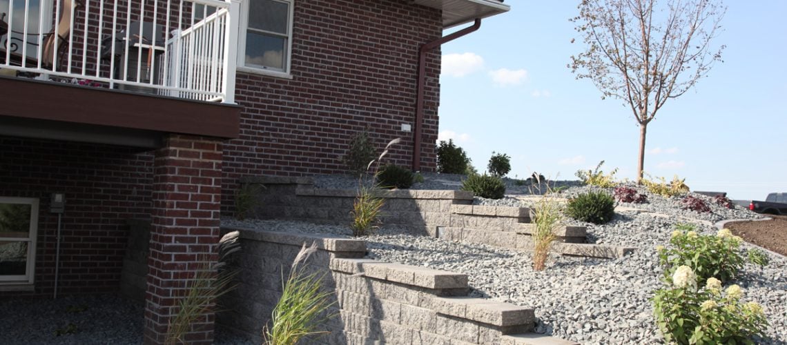 Newly planted perennials and shrubs with trap rock