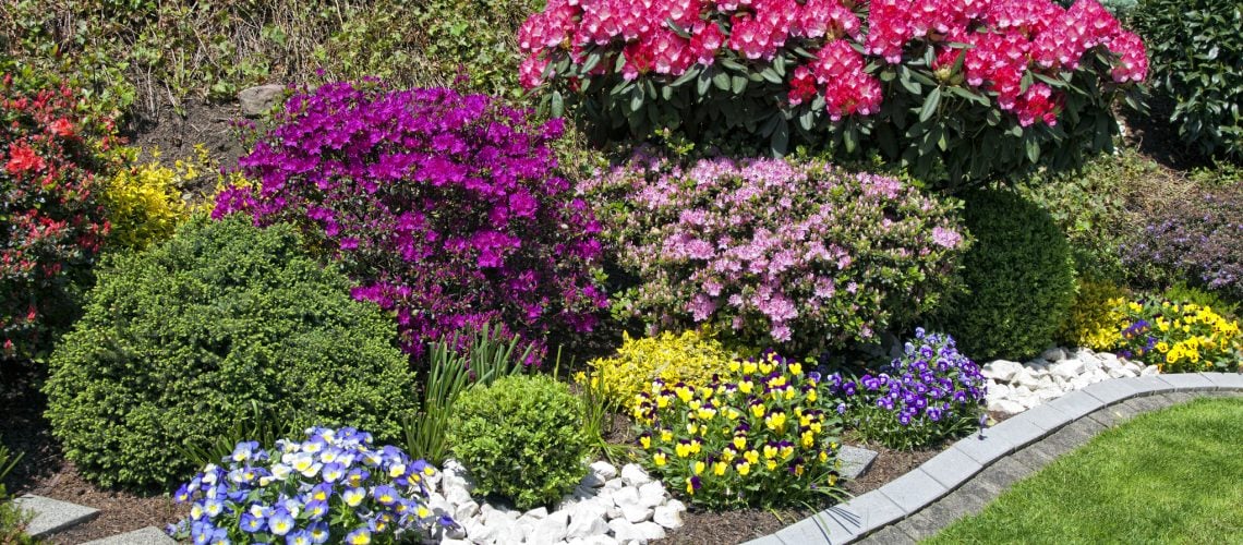 best shrubs Southern Minnesota
